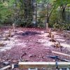 Simple Small Cabin Plans Bettie - Image 6