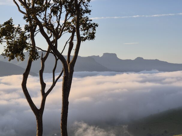 Mountain view from off-grid tiny cabin location above the clouds