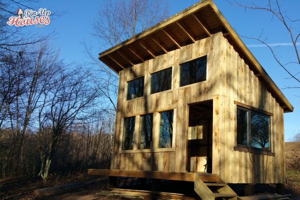 cabin plans facade with windows