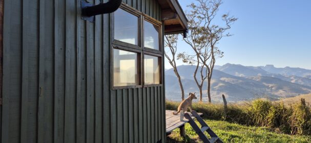 Tiny wood cabin exterior with mountain view and dog on the deck