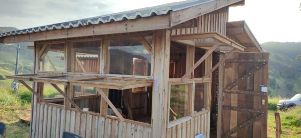 DIY tiny cabin exterior with wooden windows and handcrafted construction details