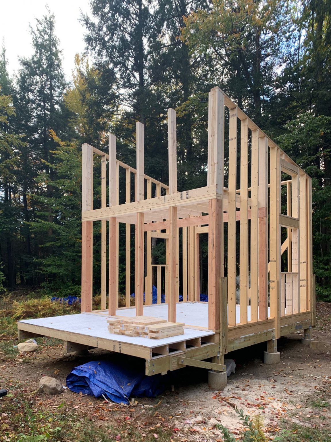 Vacation Cabin Plans